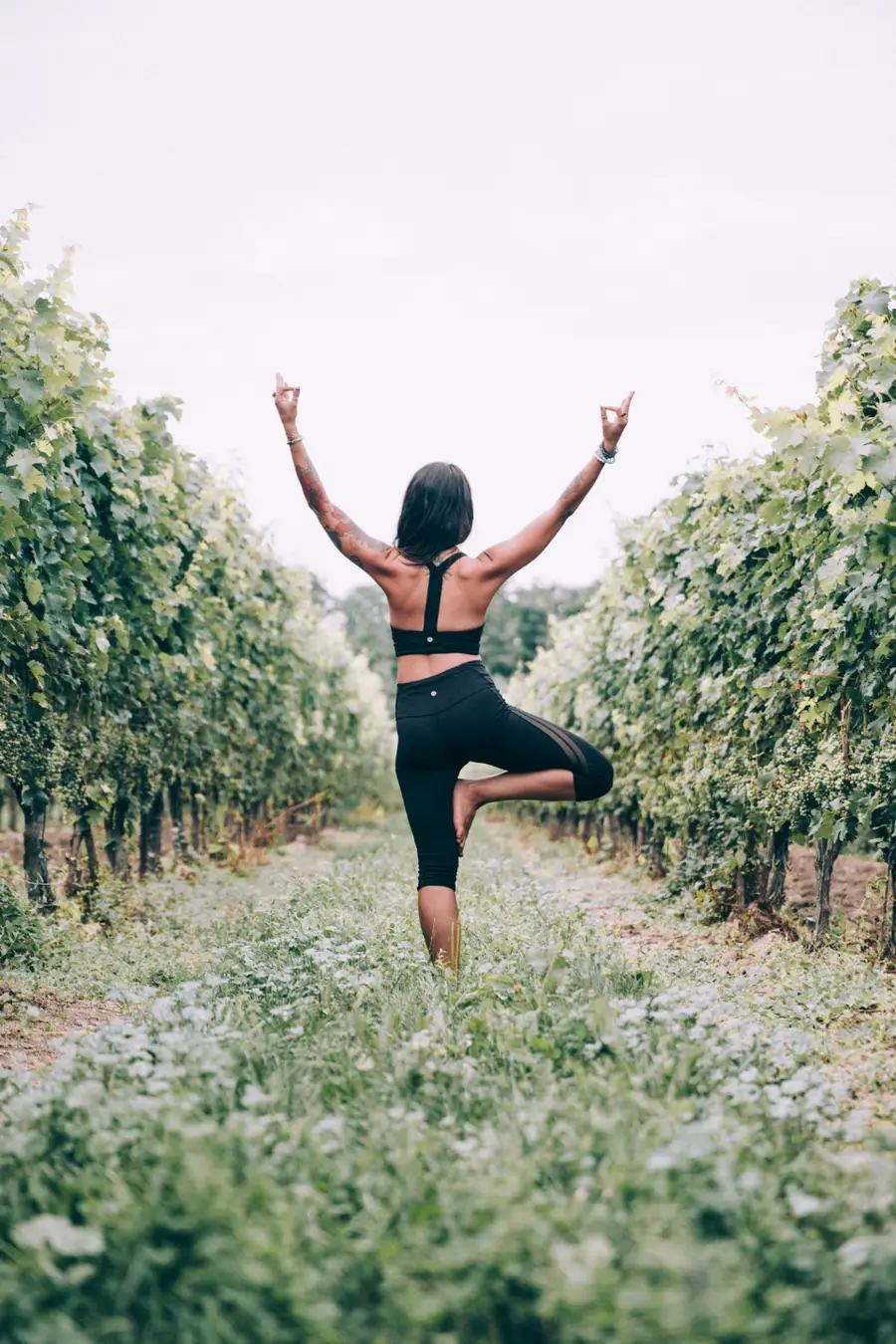 Học viên tập yoga giữa vườn nho